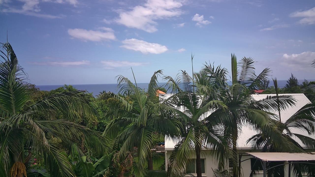 Un Petit Coin De Paradis A La Reunion Saint-Joseph Eksteriør billede